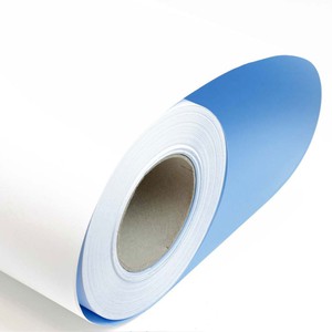 Rotolo Plotter Blue Back 269 115gr h100x80mt F76 PB